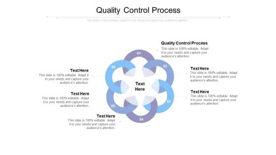 Quality Control Process Ppt PowerPoint Presentation Gallery Background Images Cpb