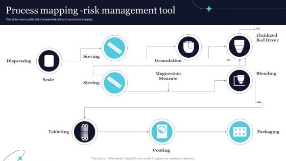 Quality Evaluation Process Mapping Risk Management Tool Themes PDF