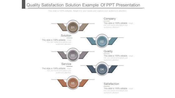 Quality Satisfaction Solution Example Of Ppt Presentation