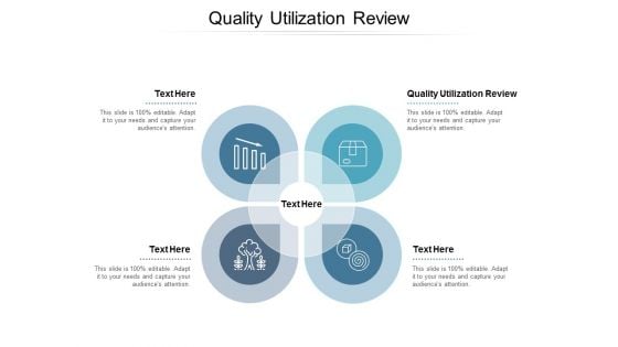 Quality Utilization Review Ppt PowerPoint Presentation Outline Slideshow Cpb