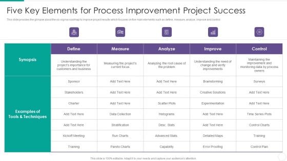 Quantitative Risk Assessment Five Key Elements For Process Improvement Project Success Summary PDF