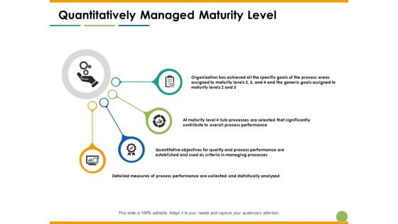 Quantitatively Managed Maturity Level Ppt PowerPoint Presentation Professional Topics