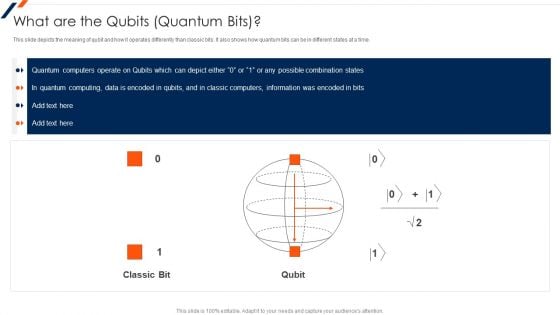 Quantum Computing What Are The Qubits Quantum Bits Ppt Summary Deck PDF