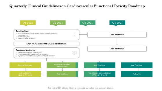 Quarterly Clinical Guidelines On Cardiovascular Functional Toxicity Roadmap Slides