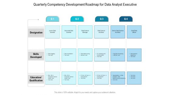 Quarterly Competency Development Roadmap For Data Analyst Executive Pictures