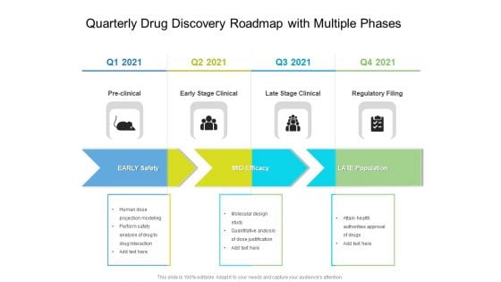 Quarterly Drug Discovery Roadmap With Multiple Phases Themes