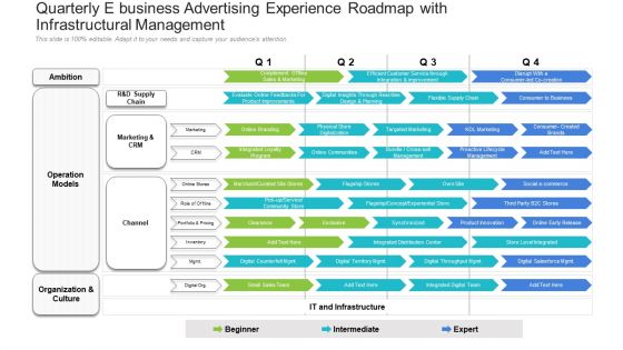 Quarterly E Business Advertising Experience Roadmap With Infrastructural Management Graphics