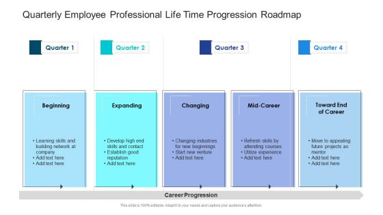 Quarterly Employee Professional Life Time Progression Roadmap Formats Quarterly Employee Professional Life Time Progression Roadmap Formats