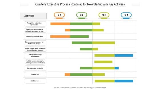 Quarterly Executive Process Roadmap For New Startup With Key Activities Guidelines