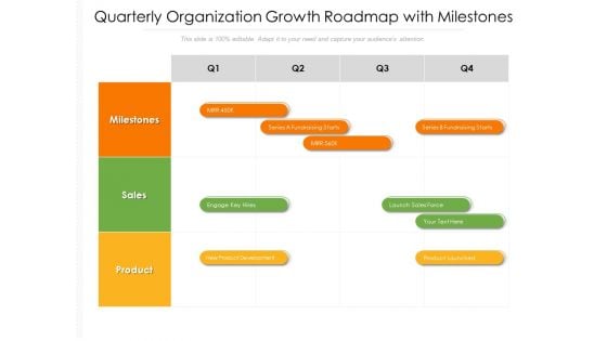 Quarterly Organization Growth Roadmap With Milestones Summary