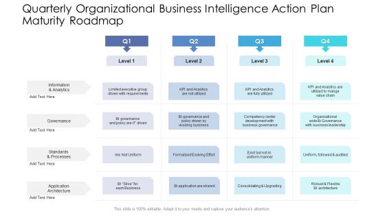 Quarterly Organizational Business Intelligence Action Plan Maturity Roadmap Information