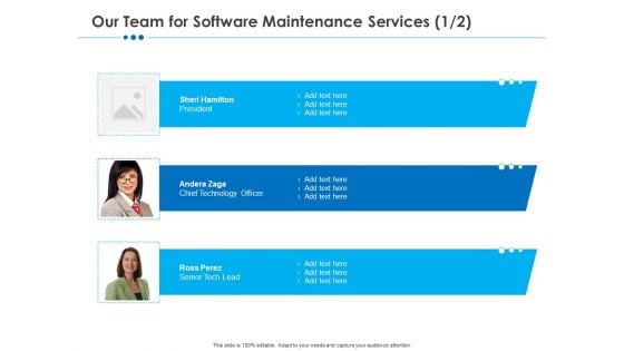 RFP Software Maintenance Support Our Team For Software Maintenance Services Slides PDF