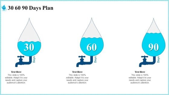 Rainwater Administration 30 60 90 Days Plan Information PDF