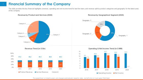 Raising Company Capital From Public Funding Sources Financial Summary Of The Company Graphics PDF