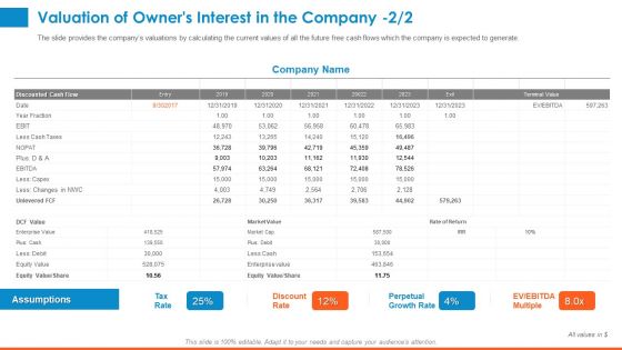 Raising Company Capital From Public Funding Sources Valuation Of Owners Interest In The Company Value Rules PDF