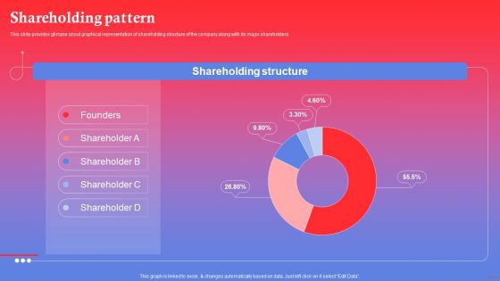 Rapping Platform Investor Funding Elevator Pitch Deck Shareholding Pattern Guidelines PDF