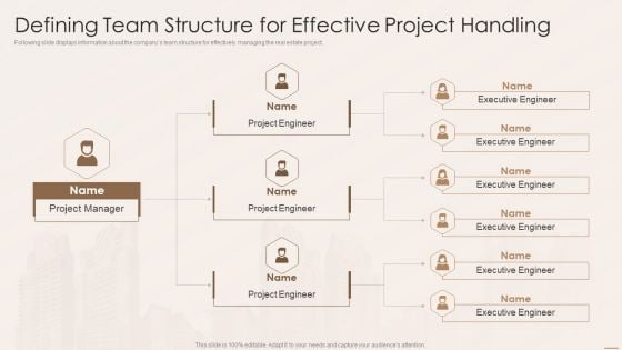 Real Estate Developers Funding Alternatives Defining Team Structure For Effective Project Handling Guidelines PDF