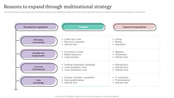 Reasons To Expand Through Multinational Strategy Ppt PowerPoint Presentation File Example PDF