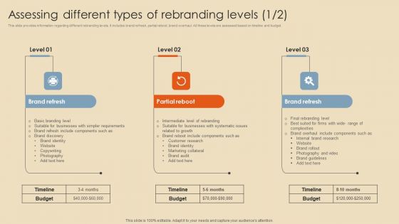 Rebranding Procedure Summary Assessing Different Types Of Rebranding Levels Background PDF