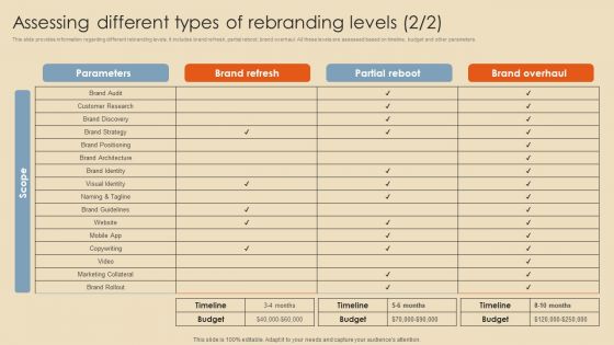 Rebranding Procedure Summary Assessing Different Types Of Rebranding Levels Background PDF