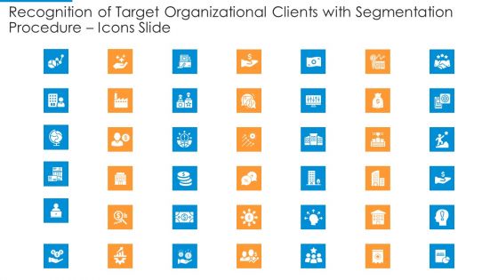Recognition Of Target Organizational Clients With Segmentation Procedure Icons Slide Infographics PDF