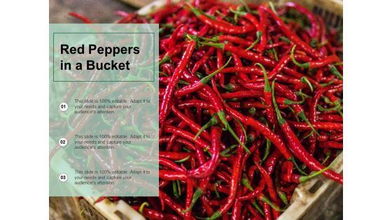 Red Peppers In A Bucket Ppt PowerPoint Presentation Gallery Maker