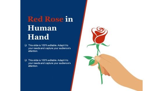 Red Rose In Human Hand Ppt PowerPoint Presentation Styles Slides