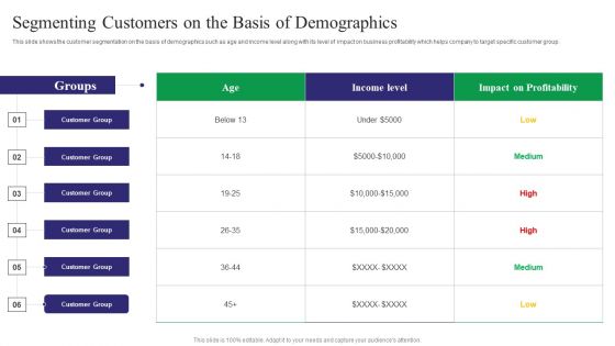 Reducing Customer Turnover Rates Segmenting Customers On The Basis Of Demographics Brochure PDF