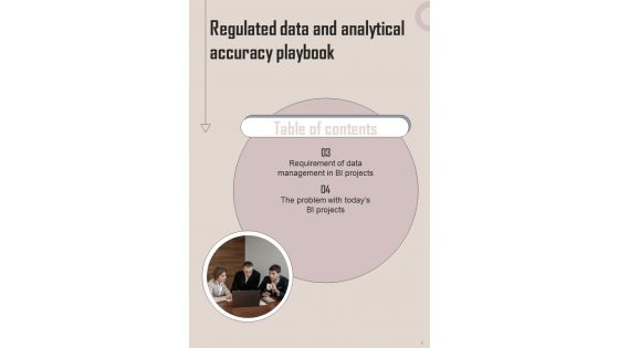 Regulated Data And Analytical Accuracy Playbook Template