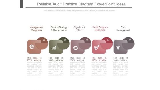Reliable Audit Practice Diagram Powerpoint Ideas