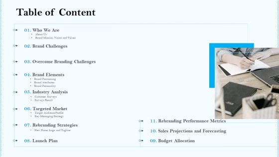 Remarketing Strategies For Effective Brand Placement Table Of Content Ppt Gallery Inspiration PDF