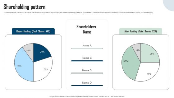 Remitbee Venture Capital Elevator Pitch Deck Shareholding Pattern Graphics PDF