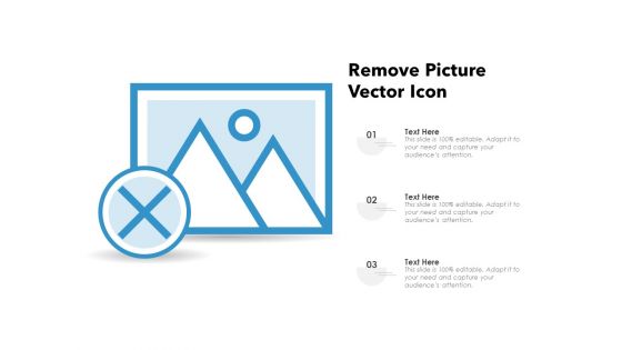 Remove Picture Vector Icon Ppt PowerPoint Presentation Portfolio Gridlines PDF