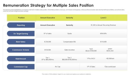 Remuneration Strategy For Multiple Sales Position Ppt Icon Background Designs PDF