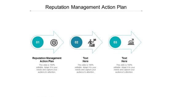 Reputation Management Action Plan Ppt PowerPoint Presentation Styles Outfit Cpb