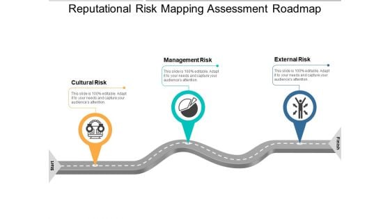 Reputational Risk Mapping Assessment Roadmap Ppt PowerPoint Presentation Pictures Professional