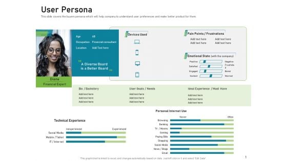 Requirements Governance Plan User Persona Portrait PDF