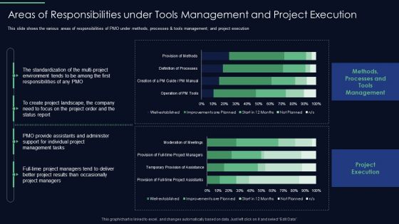 Responsibilities Project Management Office Implementing Digitalization Areas Of Responsibilities Template PDF