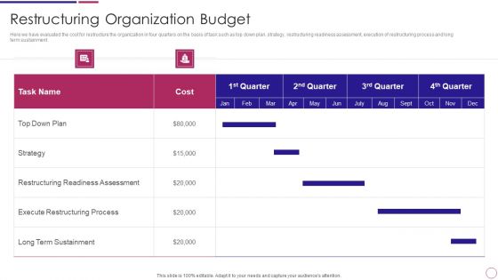 Restructuring Organization Budget Ppt PowerPoint Presentation File Visuals PDF