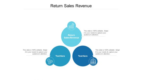 Return Sales Revenue Ppt PowerPoint Presentation Professional Outfit Cpb