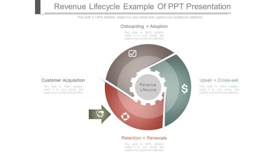 Revenue Lifecycle Example Of Ppt Presentation