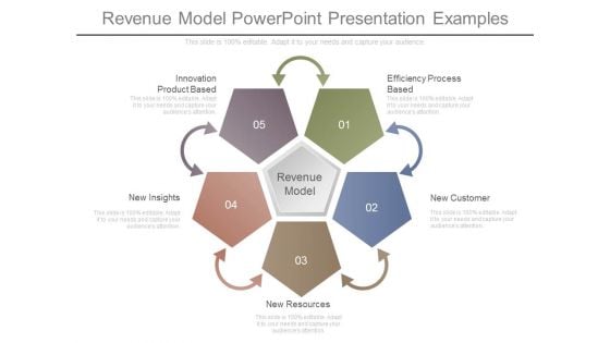 Revenue Model Powerpoint Presentation Examples