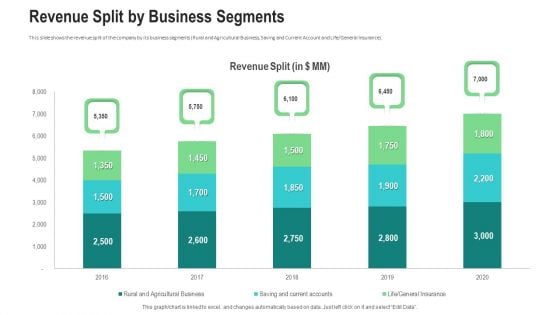 Revenue Split By Business Segments Ppt Infographics Professional PDF