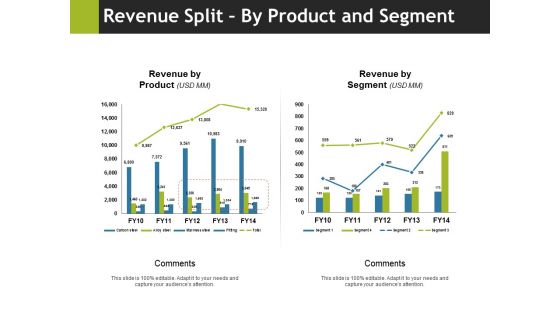 Revenue Split By Product And Segment Ppt PowerPoint Presentation Gallery Example