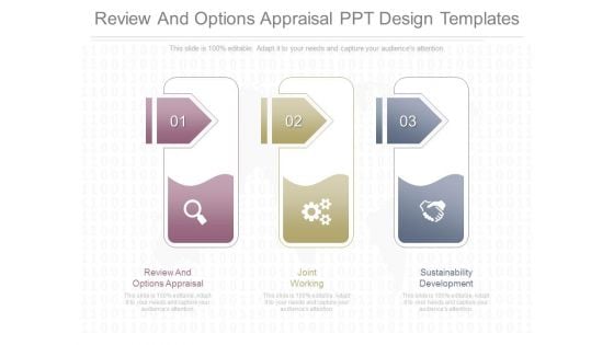 Review And Options Appraisal Ppt Design Templates