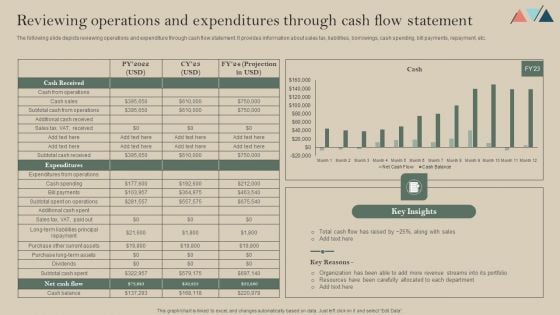 Reviewing Operations And Expenditures Through Cash Flow Statement Professional PDF