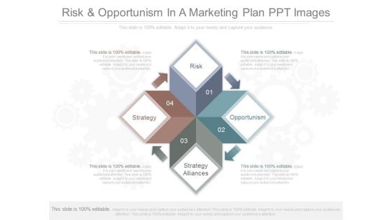 Risk And Opportunism In A Marketing Plan Ppt Images