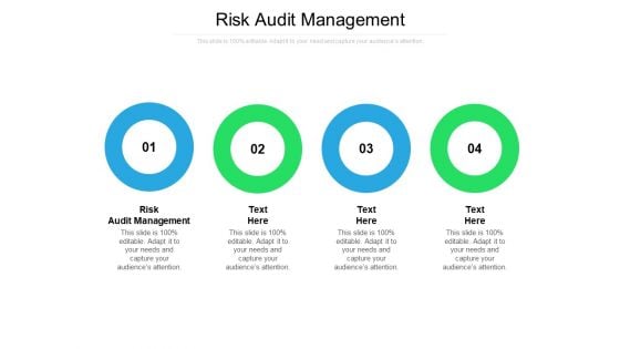 Risk Audit Management Ppt PowerPoint Presentation Professional Background Image Cpb