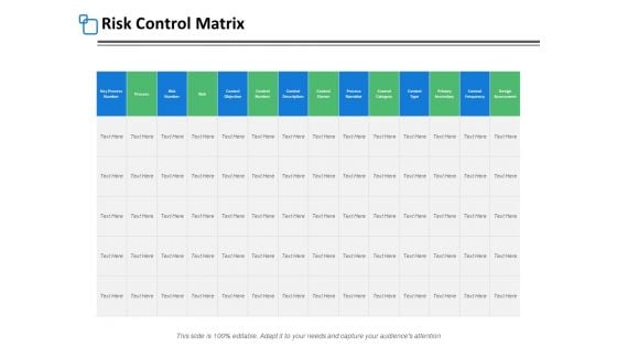 Risk Control Matrix Marketing Ppt PowerPoint Presentation Show Layouts