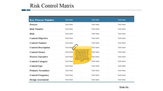Risk Control Matrix Ppt PowerPoint Presentation Gallery Background Images